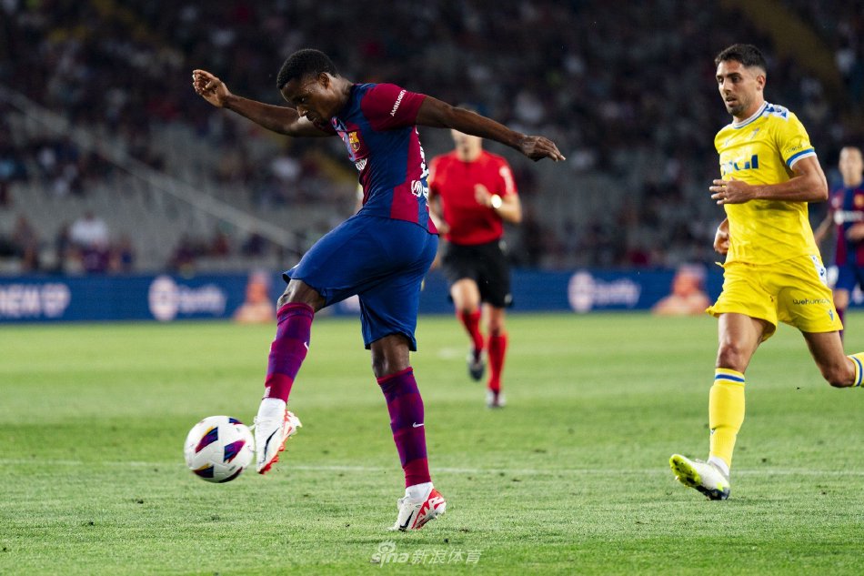 展开了一番 展开了一番