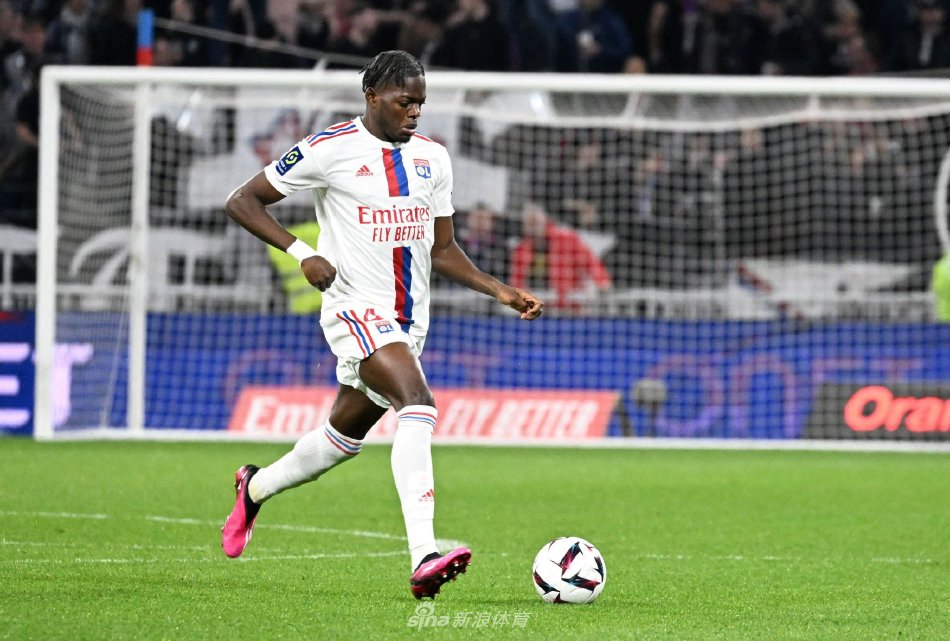 的门前嗅觉 的门前嗅觉